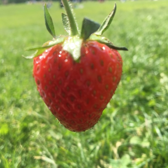 Meet your Posher, Katelyn - Picture 1 of 1